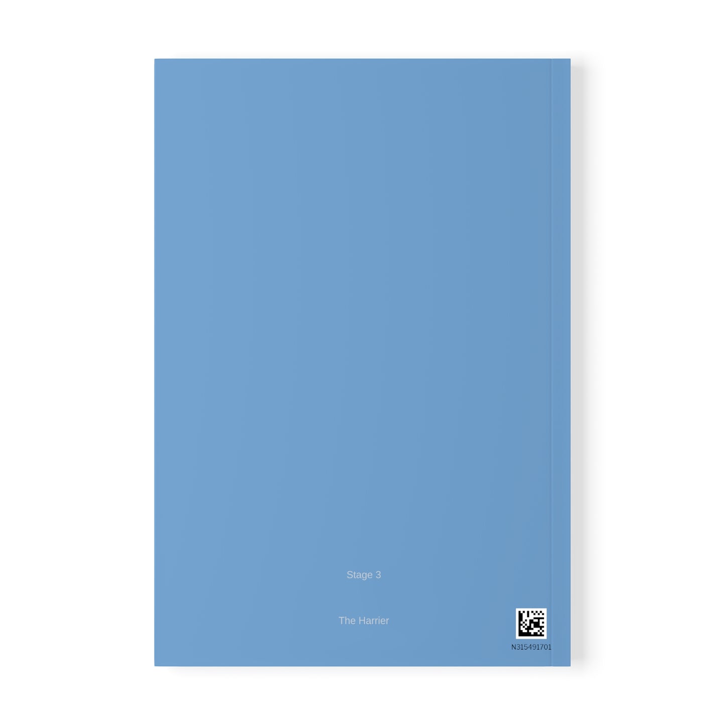 Volume 3 | The "Clarity" Ritual Journal